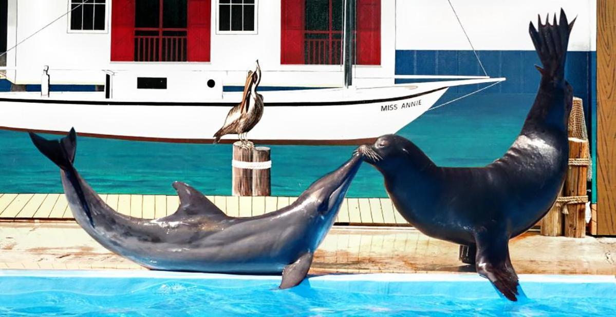 Aquavista 202E Villa Panama City Beach Dış mekan fotoğraf